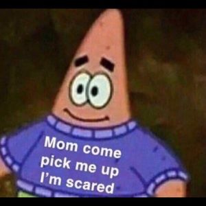 Meet your Posher, Will